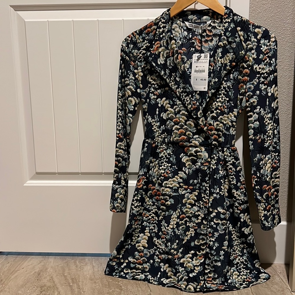 Zara dress